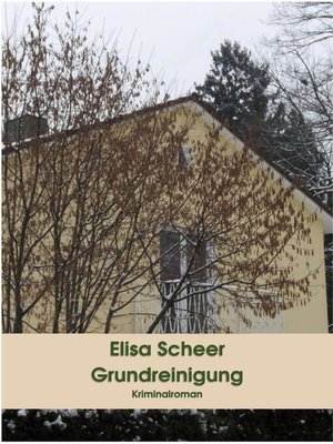 cover image of Grundreinigung